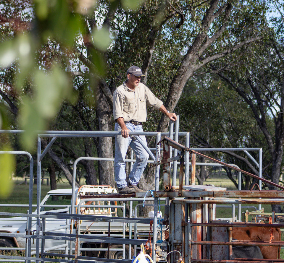 BUCKETS OF ENERGY: TALKING COTTON WITH GLENN ROGAN