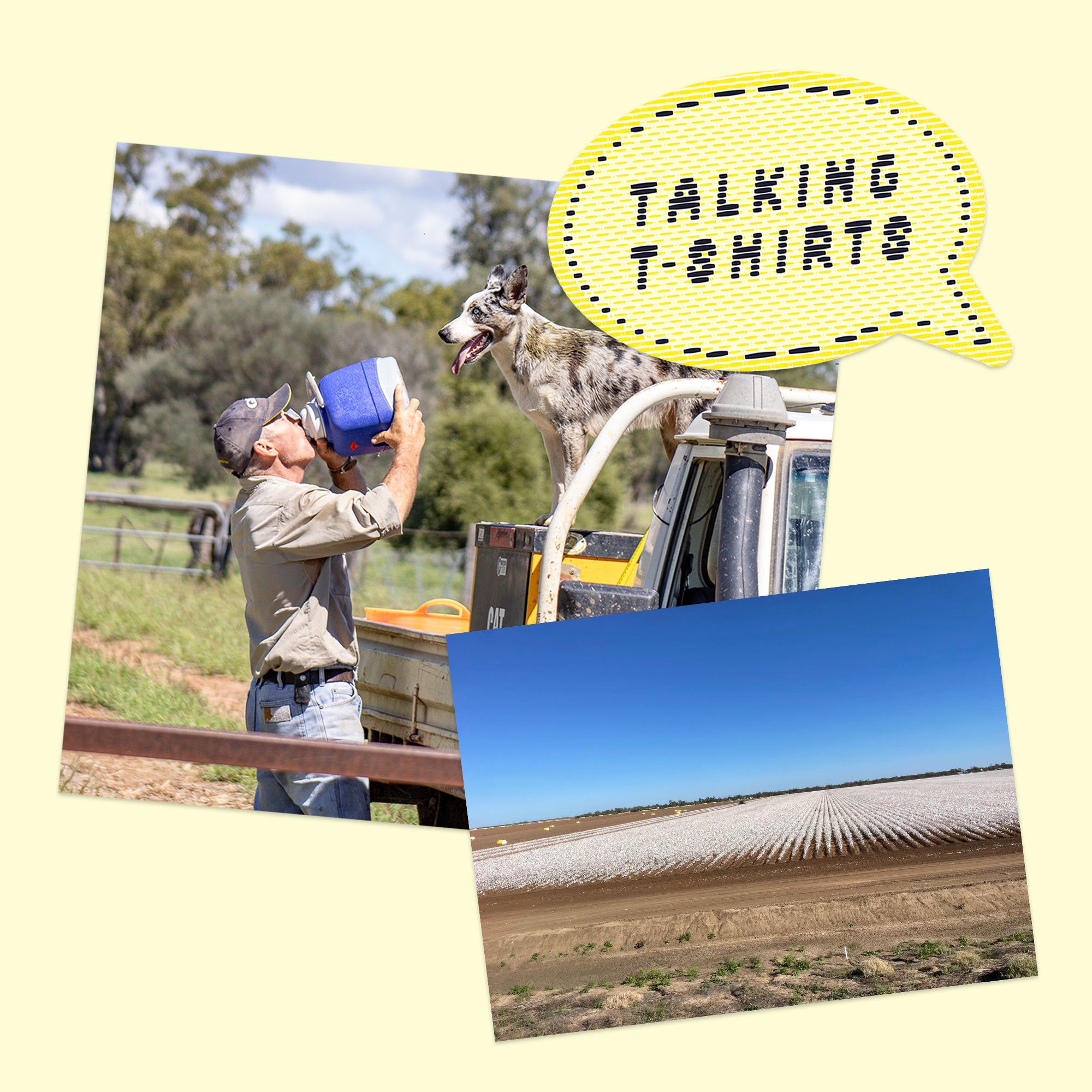 Talking cotton